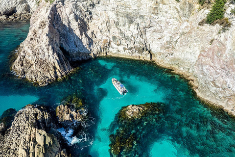 Whitianga: Cathedral Cove Cruise, Caves & Snorkelling