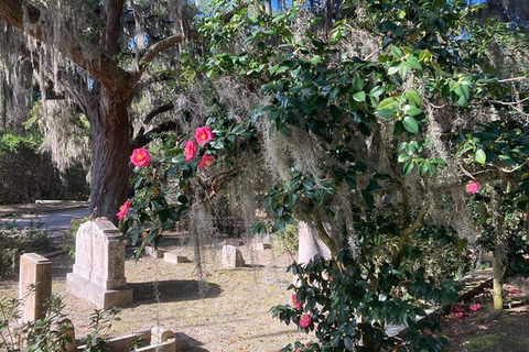 Savannah: Tour guidato in golf cart del cimitero di Bonaventura