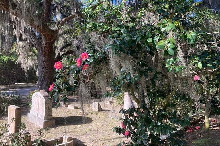 Savannah : visite guidée en voiturette de golf du cimetière de Bonaventure