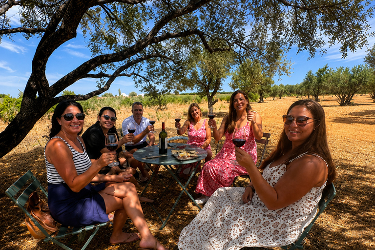 Lagos: Wine Tasting Experience at Local Winery