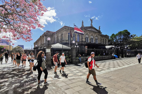 Tour della città + cena nel miglior punto panoramico di San José