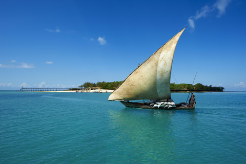 Snorkeling With Dolphin At Mnemba Island, Zanzibar