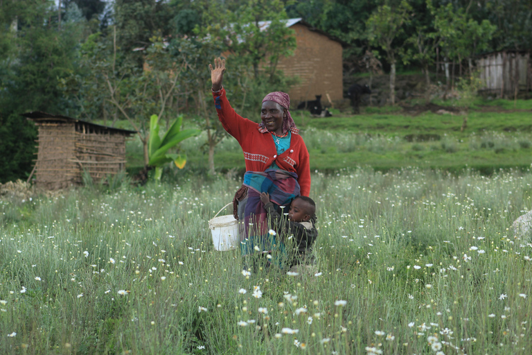 4-Day Rwanda golden monkey and Culture Safari 4-Day Rwanda golden monkey and Culture Safaris