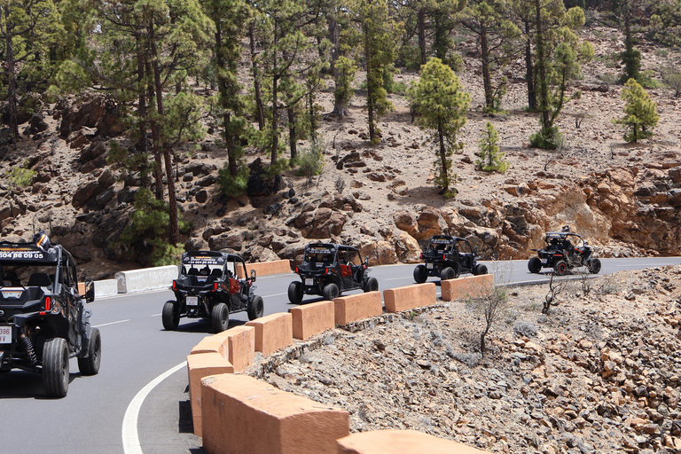 Tenerife: Sunset - 3H Buggy tour of Teide SUNSET 2seats