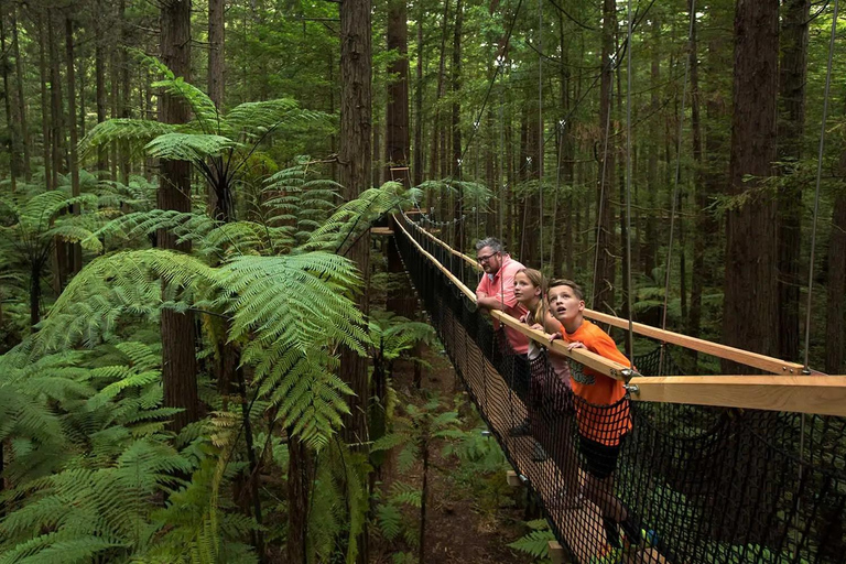 Desde Auckland Pueblo maorí de Rotorua y combinaciones de actividadesVisita y espectáculo en el pueblo maorí de Rotorua