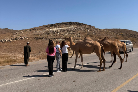 Salalah: West Side Private Tour with Off-Road Adventure