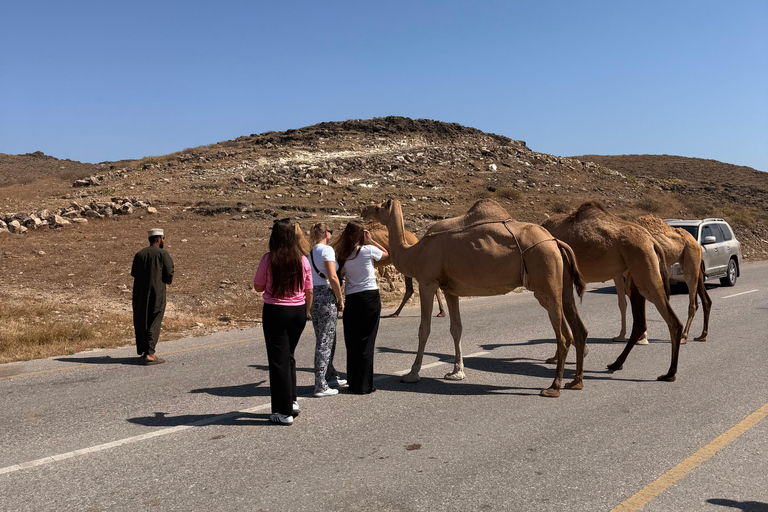 Salalah: West Side Private Tour with Off-Road Adventure