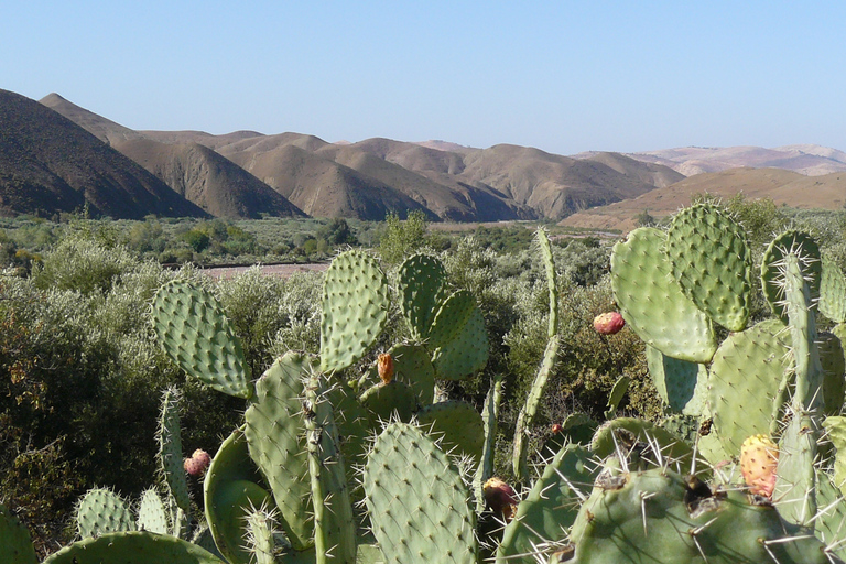 Agadir: Stadt-Highlights-Tour