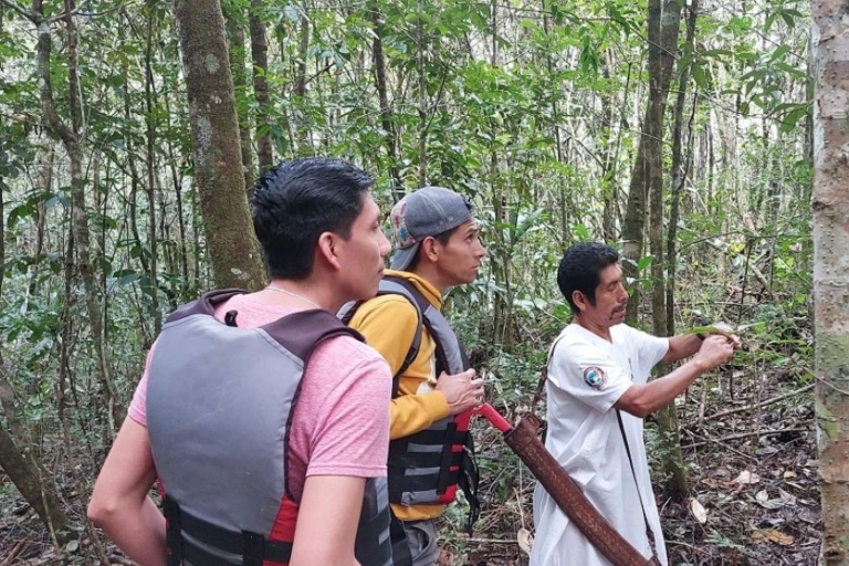 Depuis Palenque : Centre Naha et visite de la jungle de Lacandona