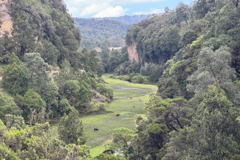 Addis Abeba: 17-dniowa wycieczka po górach Bale i dolinie Omo