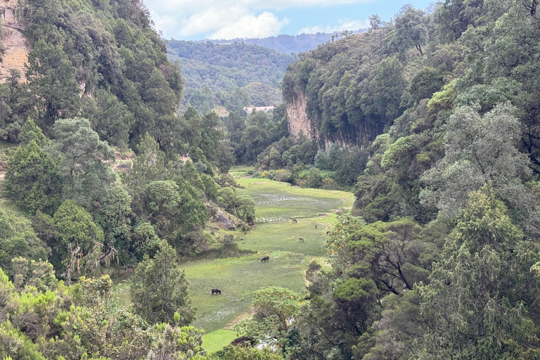 Addis Abeba: 17-dniowa wycieczka po górach Bale i dolinie Omo