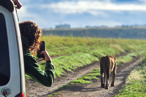 5 Hours Nairobi National Park Game Drive Tour in 4x4 Vehicle Private Guided Tour 4x4 Van