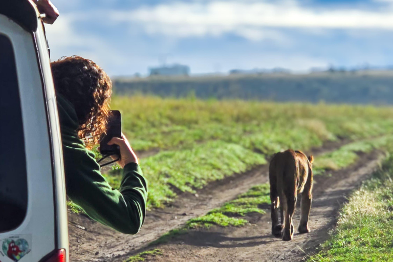 5 Hours Nairobi National Park Game Drive Tour in 4x4 Vehicle Private Guided Tour 4x4 Van