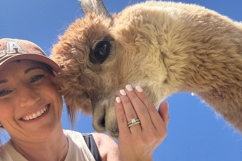 Smooth Alpaca Experience: Meet Alpacas Near Red Rocks