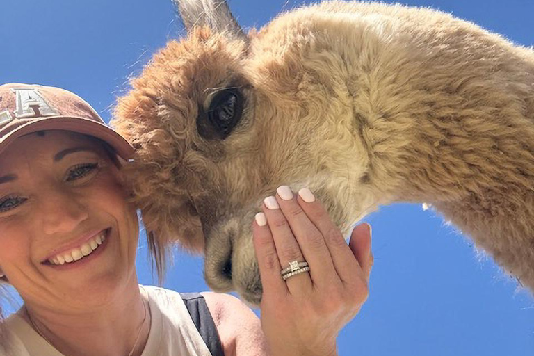 Smooth Alpaca Experience: Meet Alpacas Near Red Rocks