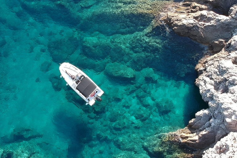Desde Dubrovnik: crucero privado en lancha rápida a MljetOpción estándar