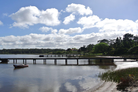 Punta del Este: Cabo Polonio City and Beach Tour