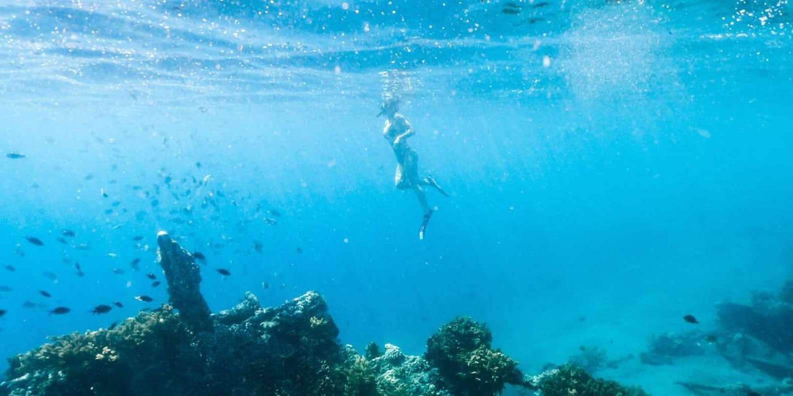 Bali snorkeling tour — underwater marine life and coral reefs — image 7