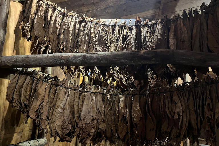 Puerto Plata: Rum and Cigar Tasting Tour with Guide