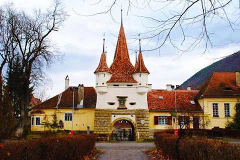 Brasov: Pet-Friendly Guided Walking Tour with Cable Car Ride