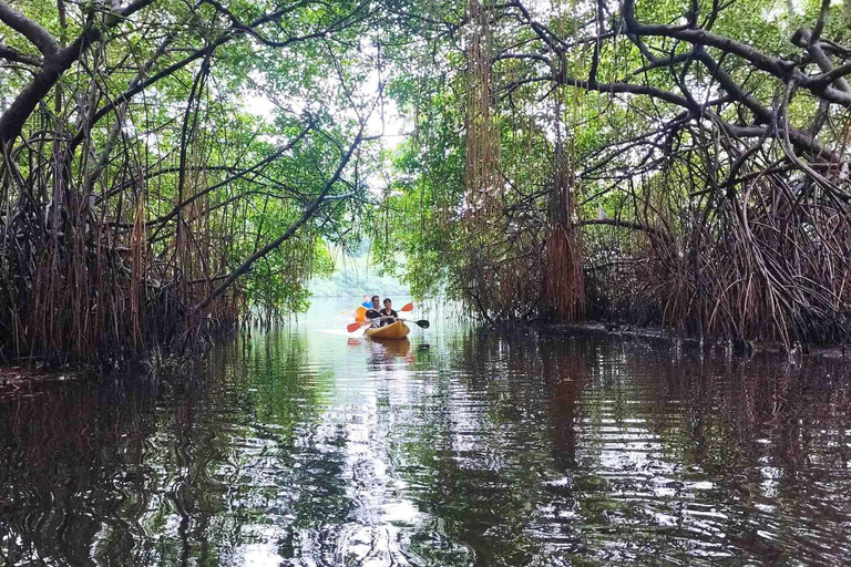 Panama City: Portobelo Jungle, Reef & Venas Azules Tour