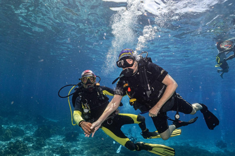 Phuket: Koh Racha Discovery Dive with Optional 2 or 3 Dives 3 Discovery Dives