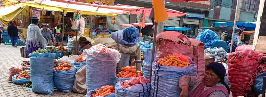 Visite à pied de La Paz et El Alto, téléphérique, marché des sorcières