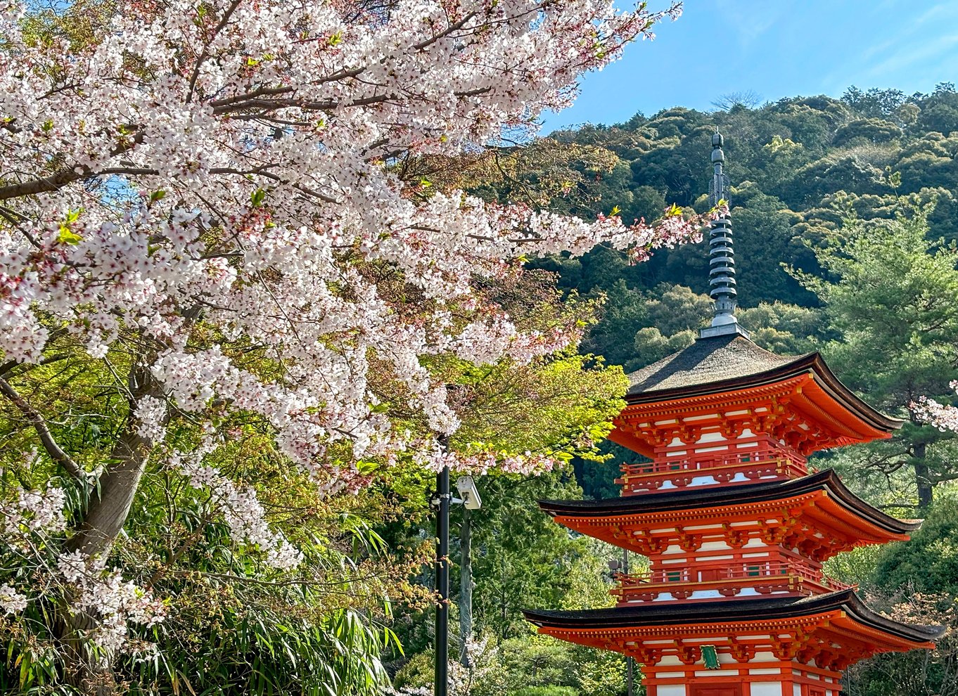 Kyoto: Heldagstur med de bedste UNESCO- og historiske steder