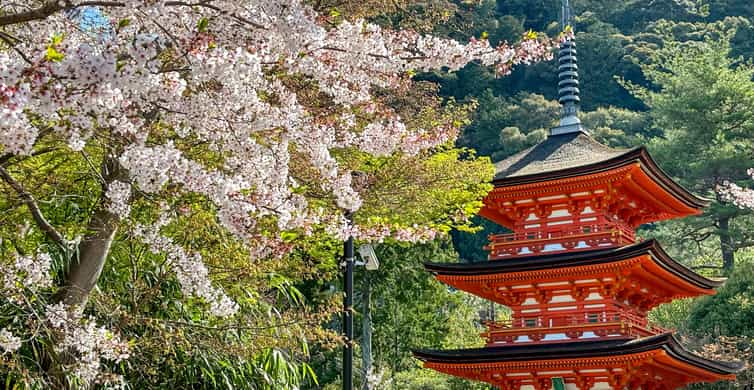 Kyoto: Fushimi Inari, Kinkakuji, Bamboo Grove 1 Day Bus Tour photo 3