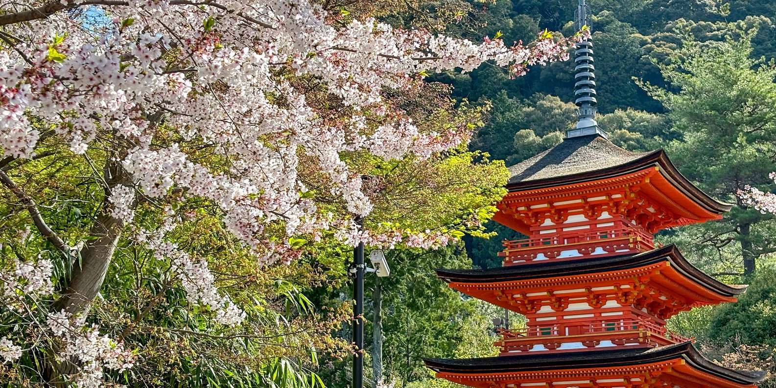 Kyoto experience — temples, geisha, bamboo grove — image 2