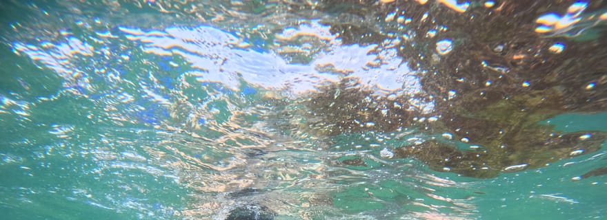 Snorkeling à Mirissa avec tortues et vidéo gratuite