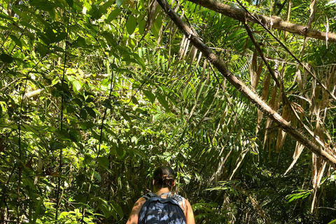 From Phuket: Guided Rainforest Hike with Lunch