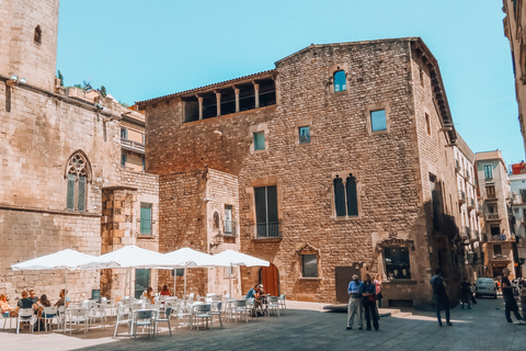 Barcelona: Introduction to the Gothic Quarter Walking Tour Private Tour (Max 20 Adults)