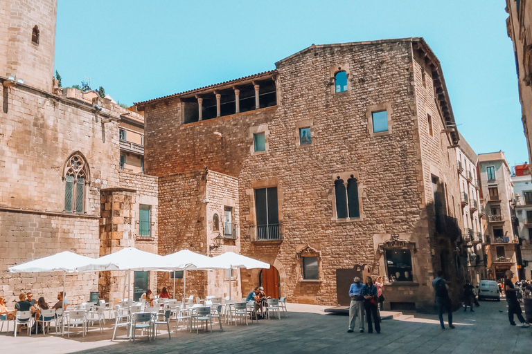 Barcelona: Introduction to the Gothic Quarter Walking Tour Private Tour (Max 20 Adults)