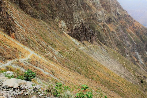 Colca Canyon Trek 3 Days - Classic Version