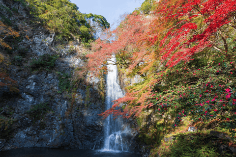 Minoo Park: passeggiata naturalistica guidata