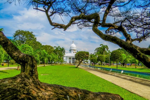 Colombo: All-Inclusive City Tour