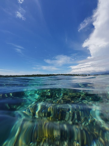 Manado: Bunaken National Park Snorkeling or Diving Tour