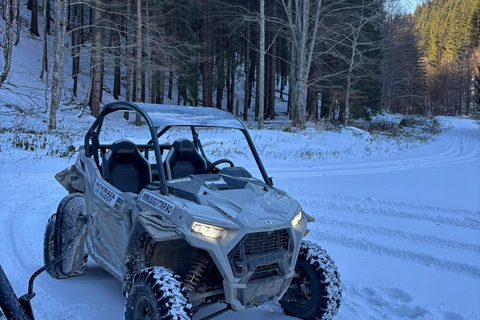 Valea Doftanei: Off-Road Forest & Mountain Adventure 3-Hour Off-Road Adventure