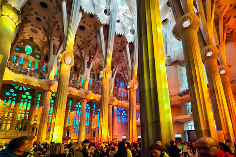 Visite privée de la Sagrada Familia avec billet d'entrée en anglais