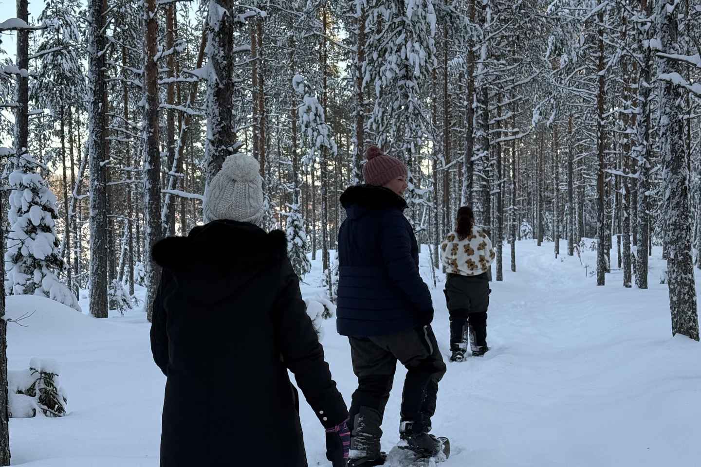 Överkalix - Lapland : Full-Day Snowshoe Tour with Lunch