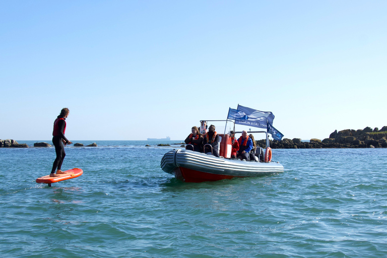 Guided Boat Tour around Dublin Bay
