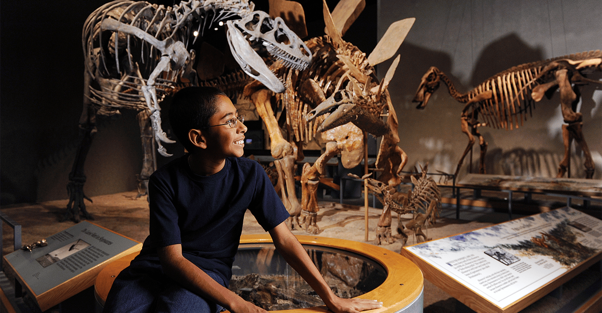 Denver, Museum of Nature and Science Admission Ticket - Housity