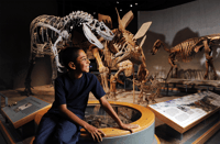 Denver, Museum of Nature and Science Admission Ticket - Housity