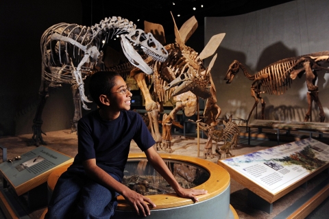 Denver: Museum of Nature and Science Admission Ticket