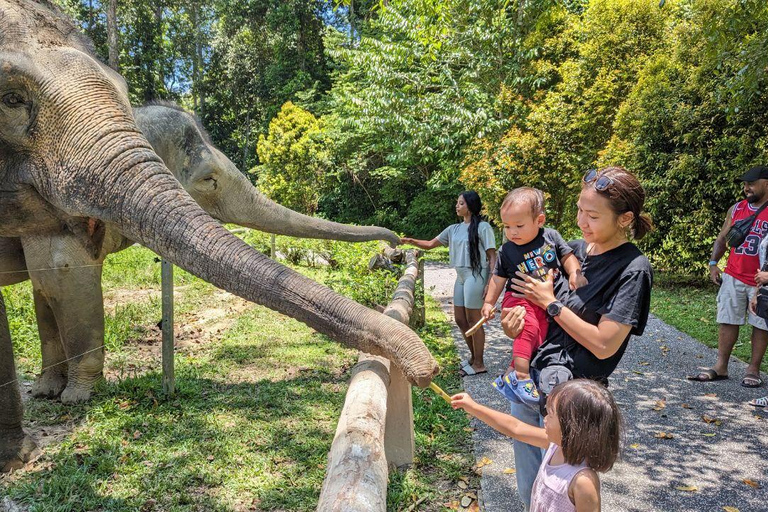 Kuala Lumpur: Batu Caves & Kuala Gandah Elephant Sanctuary