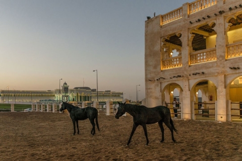 Nachtelijke stadstour door Doha | Souk Waqif | Katara | De Parel Qatar