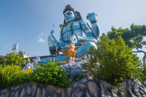 From Colombo: 8-Day Ramayana Tour in Sri Lanka