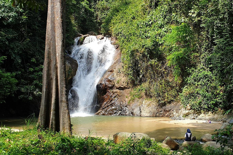 TOUR GUIADO PELO SANTUÁRIO DE ELEFANTES COM CAMINHADA EM CACHOEIRA