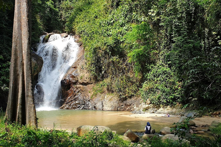 TOUR GUIADO PELO SANTUÁRIO DE ELEFANTES COM CAMINHADA EM CACHOEIRA